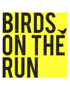 birds on the run